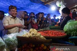 Pj Gubernur Sultra sidak harga kebutuhan pokok di pasar jelang Ramadhan