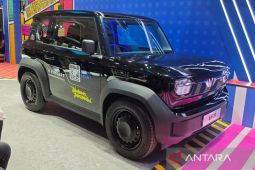 Vinfast tawarkan langganan sewa baterai untuk mobil listrik