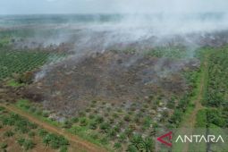 Luas lahan terbakar di Aceh Barat sudah mencapai 7,5 Ha, pemadaman masih dilakukan