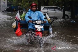 Meski mulai hujan, Makassar ternyata belum memasuki musim hujan