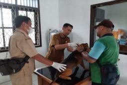 Pengguna layanan kesehatan hewan di Kobar meningkat signifikan