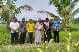 Dukung ketahanan pangan, Pemkab Tapsel alokasikan Rp22,3 miliar untuk infrastruktur pertanian