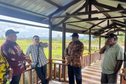 Kemendagri pastikan pembangunan KIPP di Papua Pegunungan berjalan