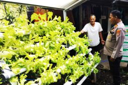 Bhabinkamtibmas Banjarmasin kembangkan kebun warga berskala mikro