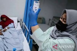 Dinkes Karawang catat peningkatan cukup signifikan kasus DBD di awal tahun 2025