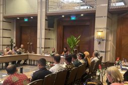 Wamenpar perjuangkan aspirasi Bali dalam RUU Kepariwisataan