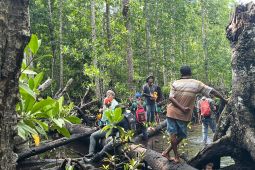 Unipa mitigasi perubahan iklim dengan penelitian mangrove dan lamun