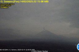 Semeru erupsi dengan tinggi letusan 800 meter di atas puncak
