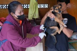 Dinkes Bali sebut 16 korban rabies tewas karena tak dibawa ke faskes pada 2025