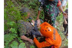 Basarnas temukan WNA Perancis terperosok jurang di Karangasem