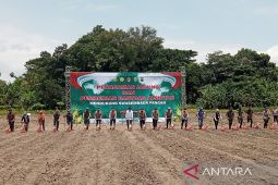 Kapolri bersama Gubernur DIY tanam jagung dukung program swasembada pangan