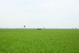 Menteri PU: IPHA solusi meningkatkan produktivitas pertanian