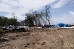KKP programkan rehabilitasi lima hektare hutan mangrove di Jambi