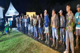 Sleman adakan lomba menembak tikus untuk selamatkan 150 hektare sawah