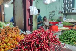 Harga cabai di Bengkulu turun Rp80 ribu jadi Rp40 ribu per kilogram
