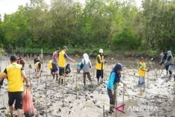 ULM kembangkan koperasi lebih dinamis kelola hutan mangrove Kotabaru Kalsel