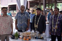 Pemprov Kalsel promosikan kuliner berbahan ikan olahan khas daerah di TMII
