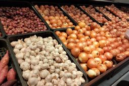 Jenis makanan yang bantu kesehatan usus saat mengonsumsi antibiotik