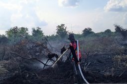 Palangka Raya siagakan tim reaksi cepat cegah karhutla
