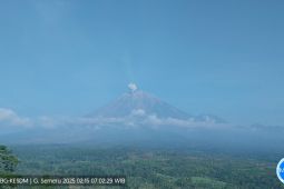 BPBD Lumajang minta warga di lereng Gunung Semeru waspadai hujan abu