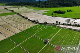Maluku mulai garap 2.220 hektare sawah