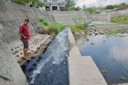 BRIN dorong pelibatan masyarakat bangun lintasan ikan sungai