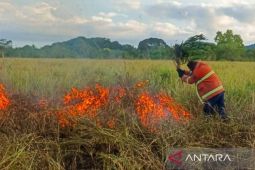 Natuna padamkan kebakaran lahan di Bunguran Selatan