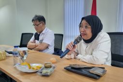 Heboh! Mobil berlogo BGN kedapatan angkut babi, pemiliknya dilaporkan ke polisi