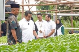 Bersama PT Timah, Kelompok Hidroponik Lanjut Bestari bangun ketahanan pangan desa