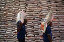 Babel kemarin, perkuat stok beras jelang Ramadhan hingga perkuat tata kelola tambang timah