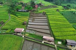 Kemendes: Keamanan teknologi digital bantu percepat kemajuan desa