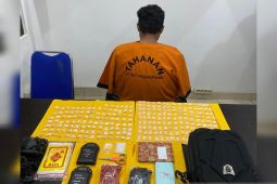Polda Babel amankan 248 klip sabu siap edar