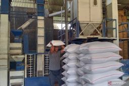 Bank Indonesia tekankan efisiensi rantai distribusi hasil panen di Bali