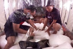 Modifikasi cuaca hari kelima dinilai berhasil kurangi potensi hujan ekstrem di DKI Jakarta