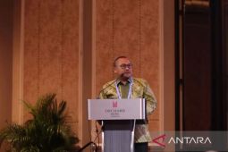 Kadinkes Kaltim paparkan strategi  pengendalian DBD di Singapura