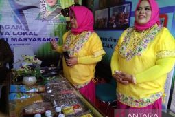 Sinjai Fest 2025  langkah positif majukan ekonomi lokal kerakyatan