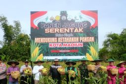 Pemkot-Polres Madiun Kota panen jagung program satu juta hektare