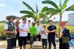 60 KWT Kota Tangerang diberi pelatihan penanganan pascapanen