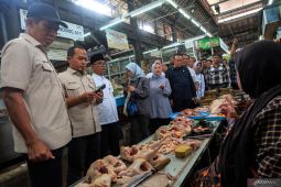 Anggota DPR nilai  tak ada "beras oplosan", tapi beras tak sesuai mutu
