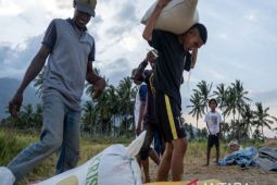 Bulog Sulteng melampaui target serapan beras lokal Februari 2025