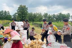 Polresta Cirebon membantu petani hasilkan 15 ton jagung