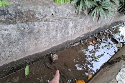 Pemprov Lampung keluarkan SE antisipasi kenaikan kasus DBD