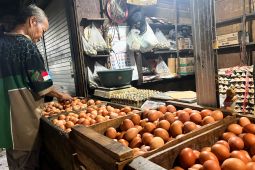 Harga pangan Rabu, cabai rawit Rp71.250/kg, telur ayam Rp30.250/kg