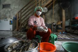 Pertamina dukung kemandirian ekonomi warga pesisir