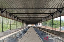 DPD Elang 3 Hambalang:Program ketahanan pangan PT TSM patut diapresiasi