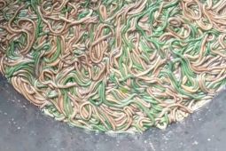 Ribuan warga tangkap "Nyale" di laut Mandalika Lombok Tengah