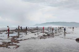 Penanganan sampah "Bau Nyale" di Mandalika Lombok dilakukan gotong royong