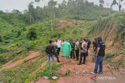 BKSDA tangani interaksi negatif harimau di Mukomuko