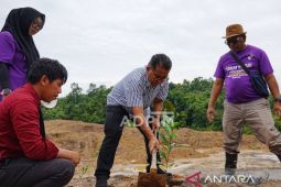 Pj Gubernur dan siswa SMK  tanam kopi di lahan bekas tambang