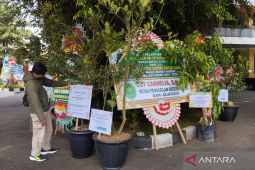 Pendopo Kudus dipenuhi bibit buah